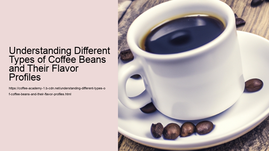 Understanding Different Types of Coffee Beans and Their Flavor Profiles